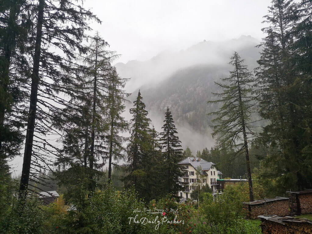 Misty mountain view with tall pine trees and a large alpine lodge partially hidden in the forest.