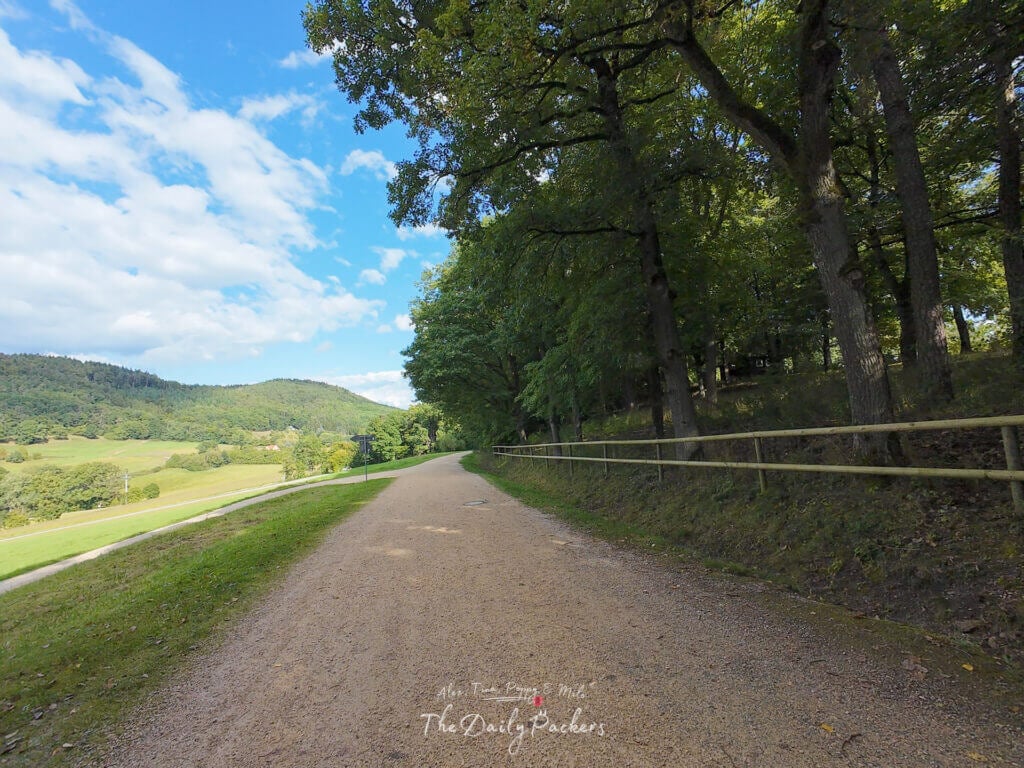 Sentier forestier paisible près du Walhalla avec des arbres et des collines sous un ciel bleu éclatant.
