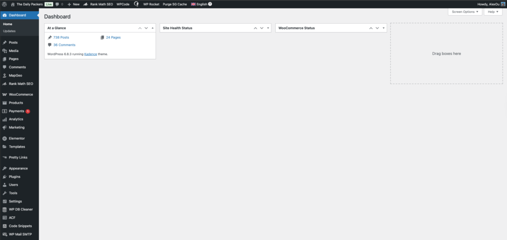 WordPress dashboard of The Daily Packers website showing posts, pages, and plugin menu on the sidebar