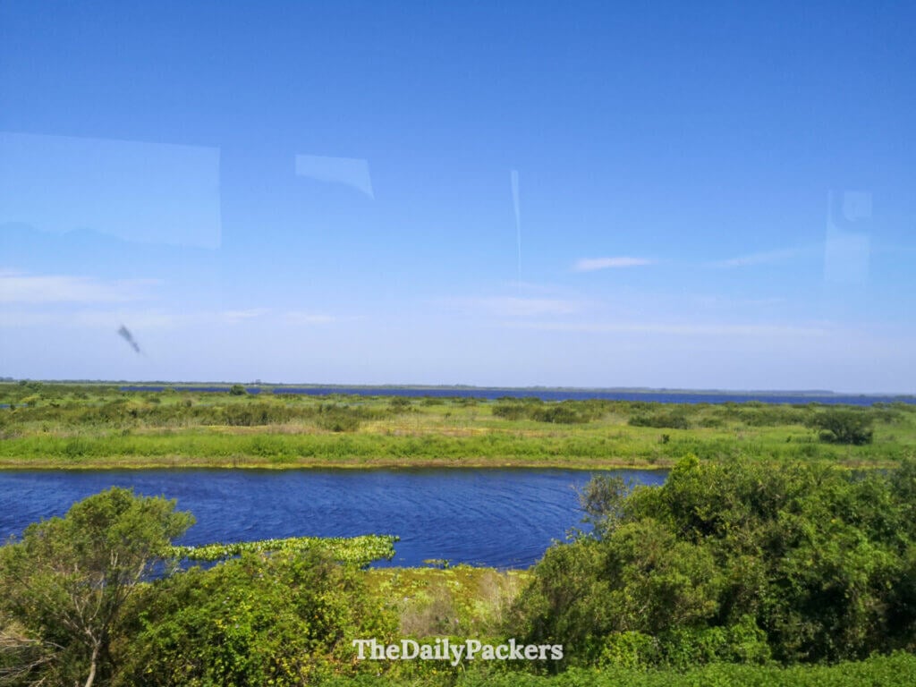 Scenic view of lush greenery and a blue river seen through a bus window while traveling from Brazil to Uruguay