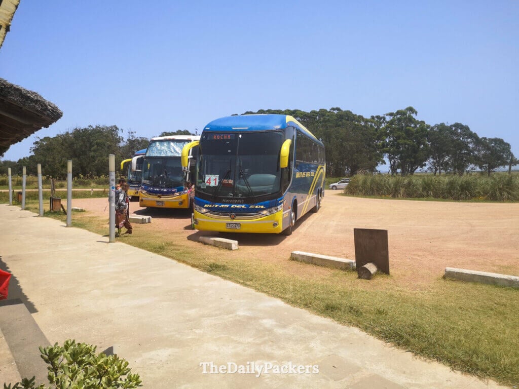 Buses waiting at the Cabo Polonio terminal, ready to transport visitors to the national park.