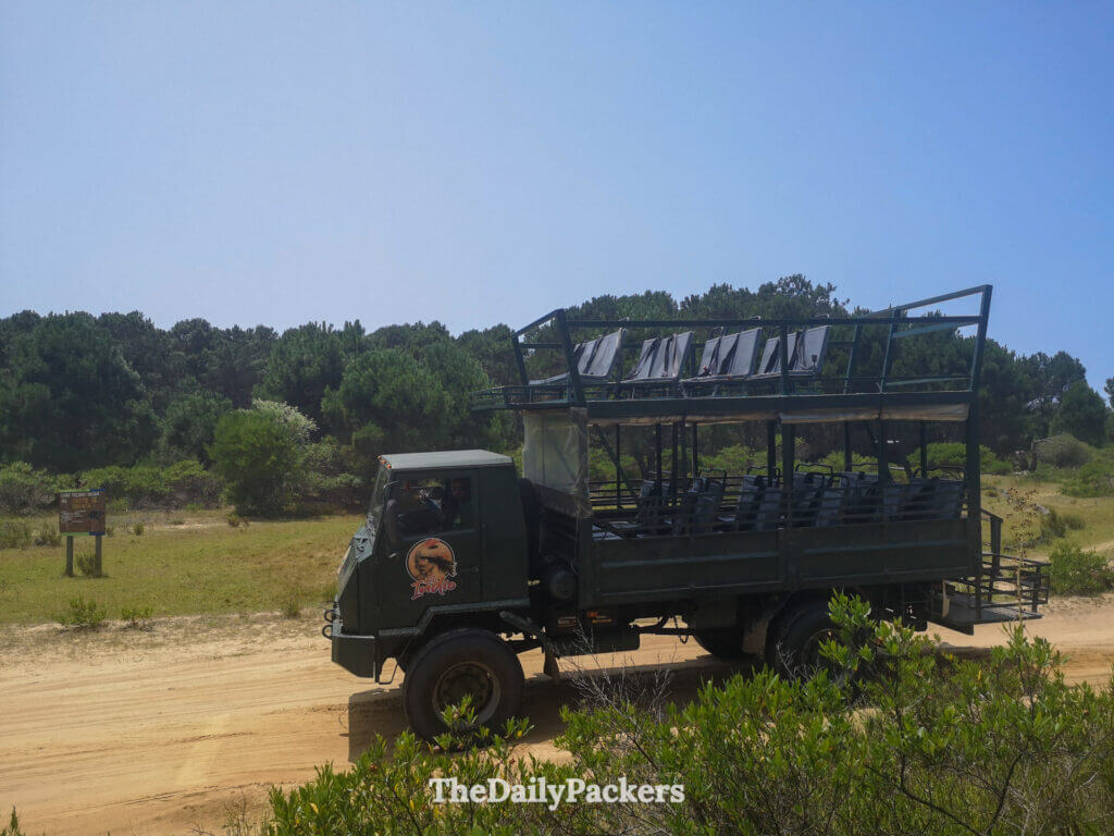 Tourist 4x4 truck with open-air seating driving through sandy terrain towards Cabo Polonio.