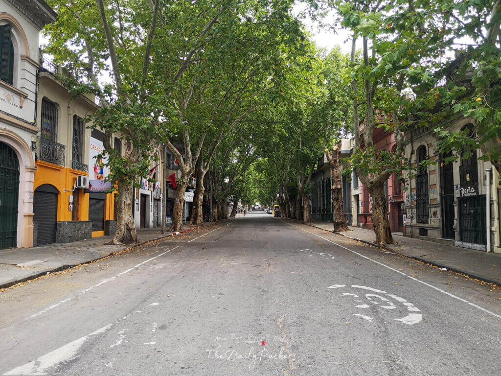 Quiet Montevideo street lined with colorful old buildings and tall leafy trees creating a shaded tunnel.