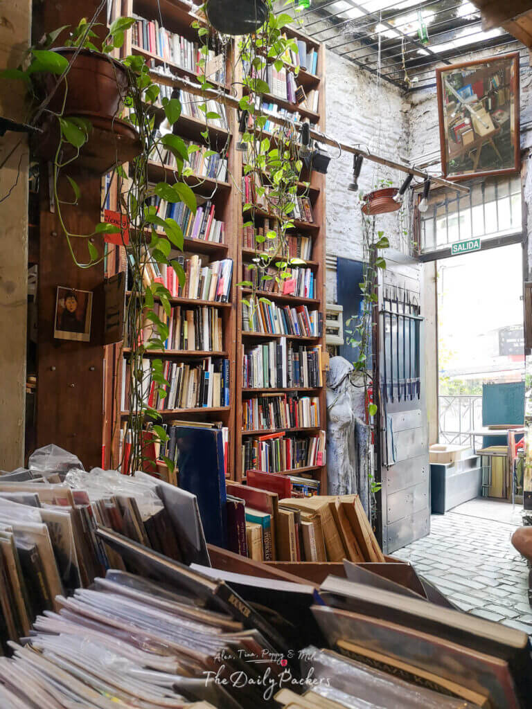 Cozy second-hand bookstore in Montevideo with tall wooden shelves, hanging plants, and natural light.