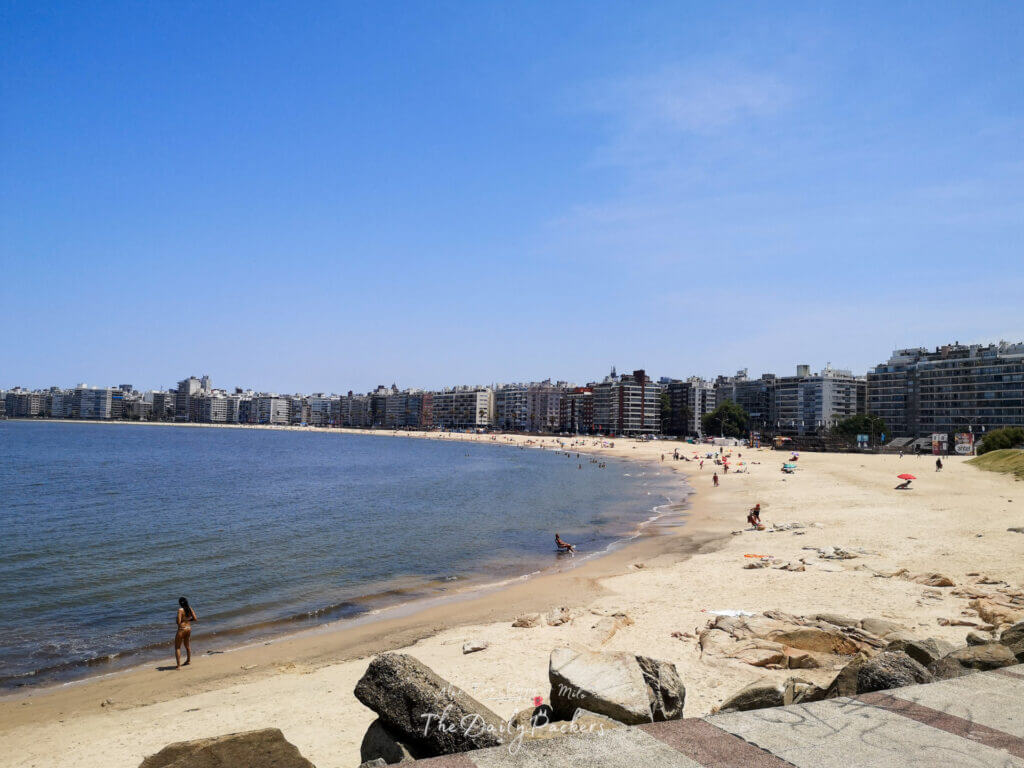 Scenic view of Playa de los Pocitos in Montevideo with calm waters, soft sand, and apartment buildings along the coast.