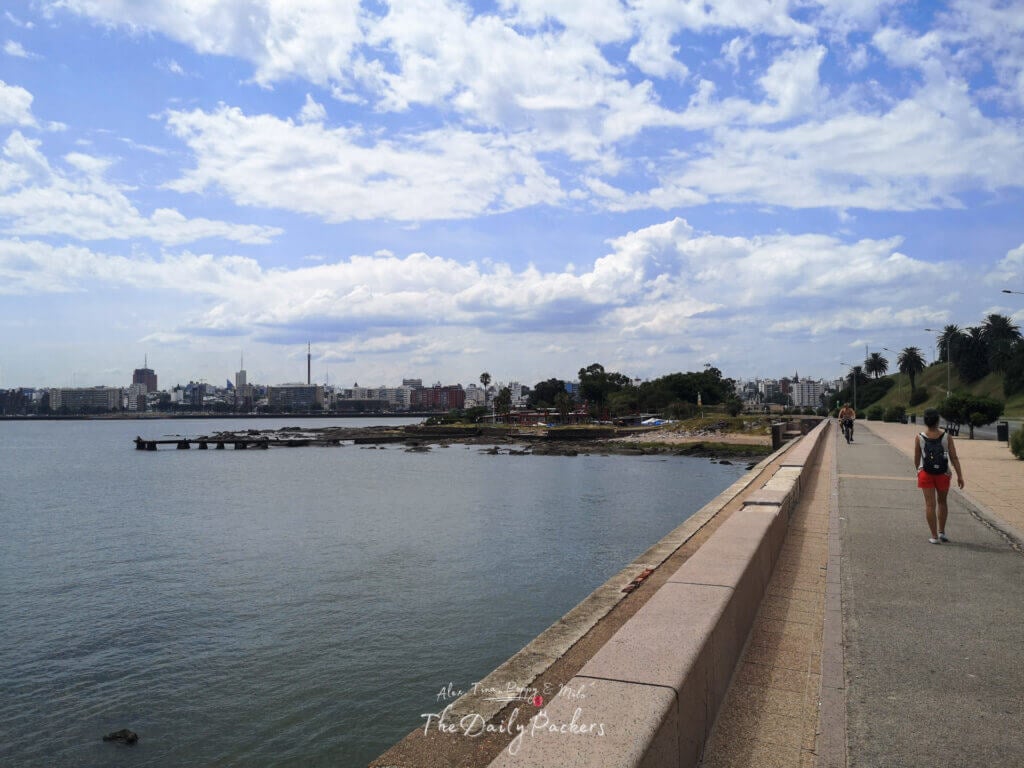 The Rambla promenade in Montevideo with palm trees, patterned pavement, and a view of the beaches and skyline.