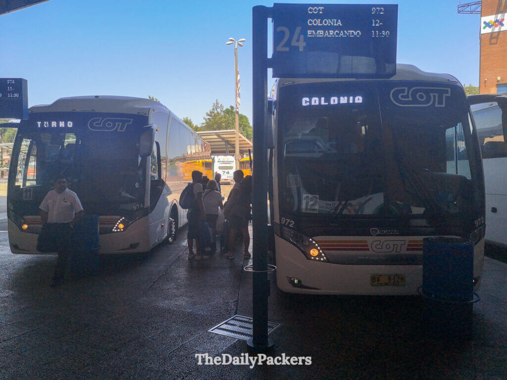 COT buses boarding at Tres Cruces terminal in Montevideo for the scenic route from Montevideo to Colonia del Sacramento.