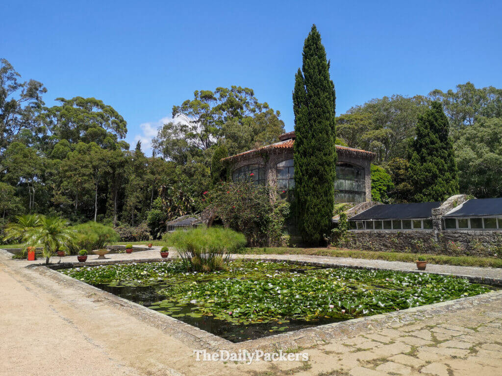 Exterior of the Santa Teresa Botanical Garden with lily ponds, palm trees, and a charming stone greenhouse surrounded by nature.
