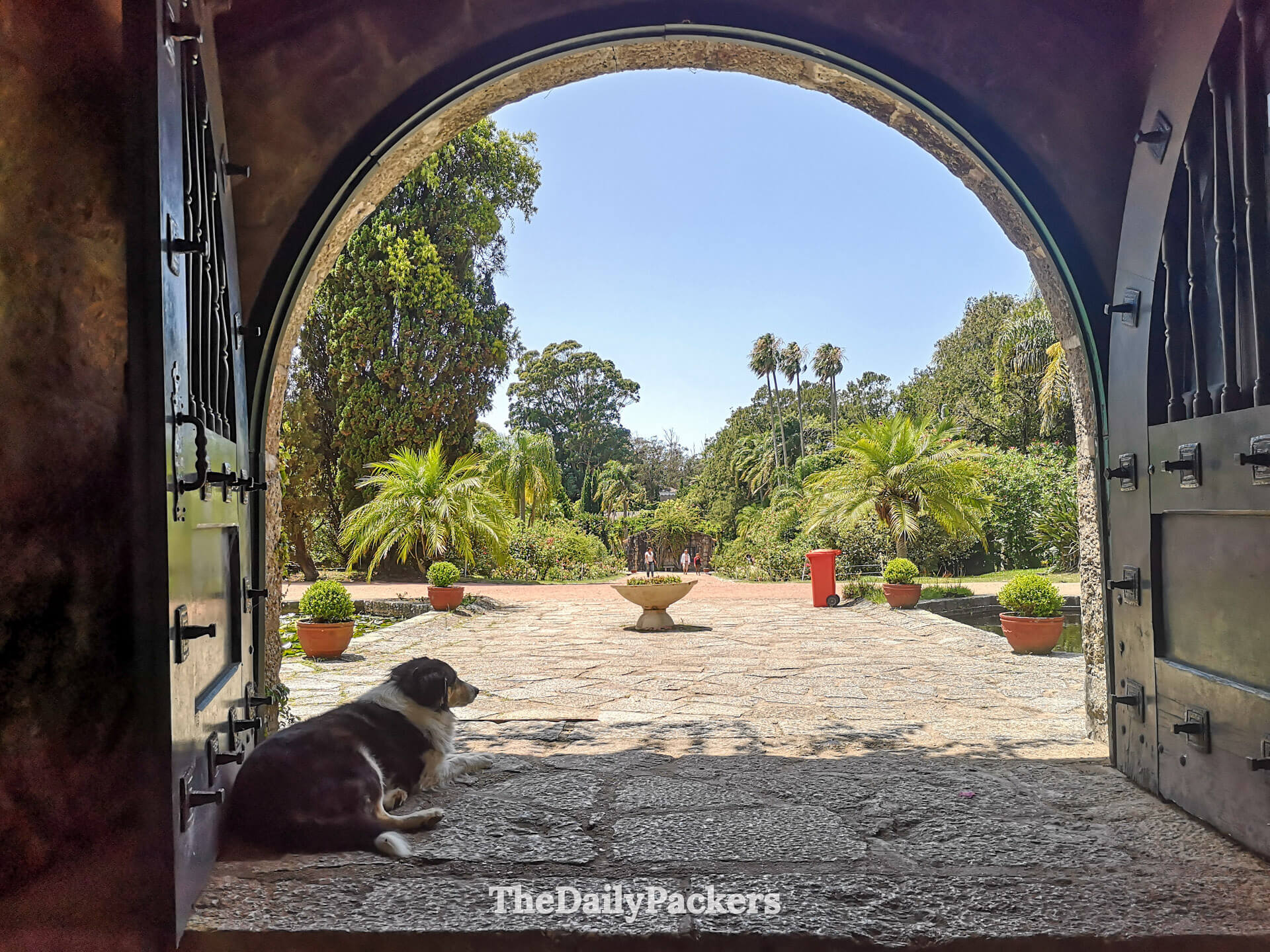 Peaceful view from the Santa Teresa Botanical Garden entrance, framed by an arched doorway with a dog resting in the shade.
