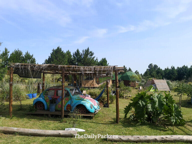 Coccinelle Volkswagen de 1962 peinte de couleurs vives, transformée en un séjour confortable sous un abri en bois avec des hamacs au camping écologique La Girada à Punta del Diablo