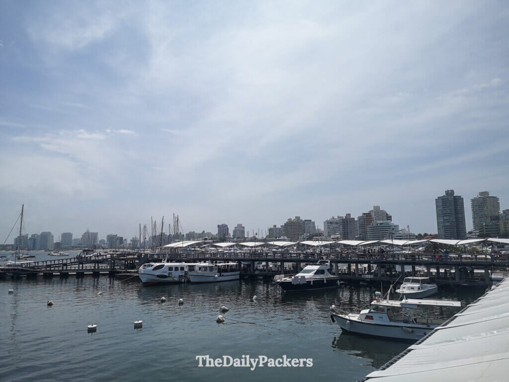 View of the Punta del Este marina with yachts and sailboats docked under a sunny sky, surrounded by city buildings.