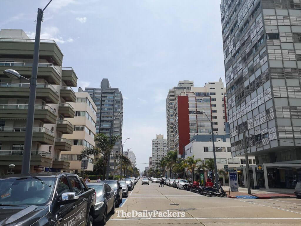 Busy Juan Gorlero Street lined with modern buildings, cars, and palm trees in central Punta del Este.