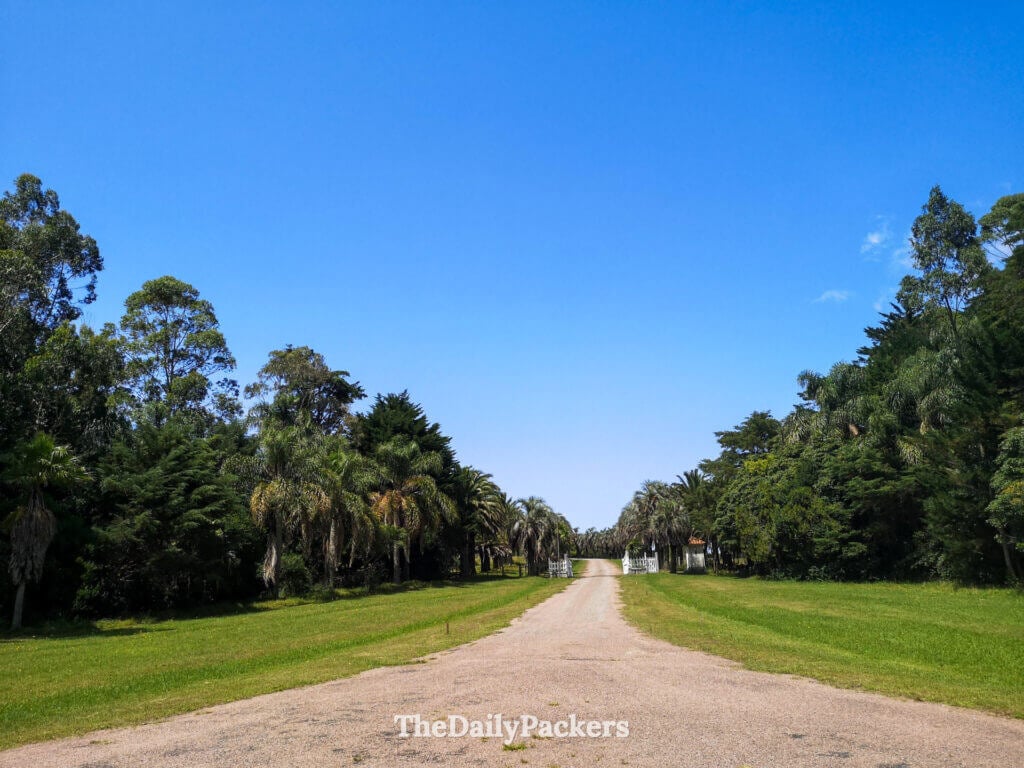 Tree-lined road leading through Santa Teresa National Park under a clear blue sky.