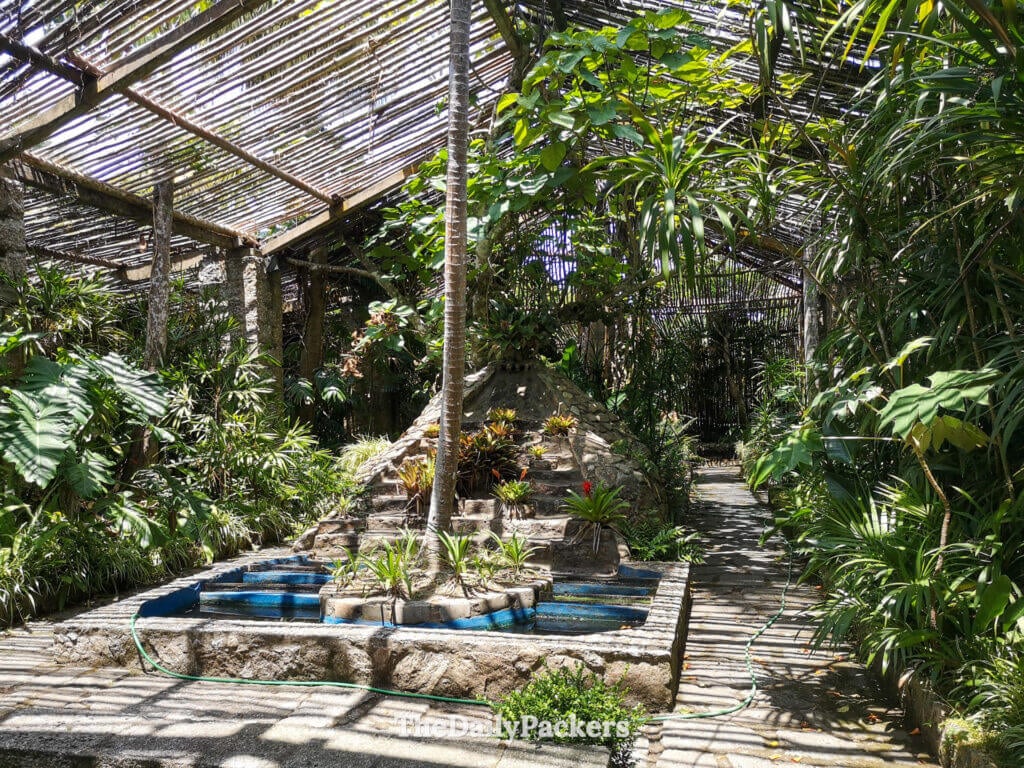 Stone pathways winding through the tropical plants and shaded pergola of Santa Teresa’s botanical garden.