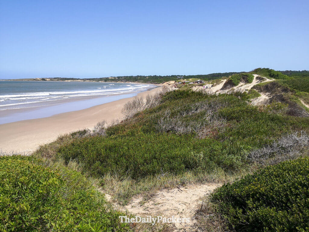 Panoramic view of the long, unspoiled beach and sand dunes at Santa Teresa Park under a bright blue sky.