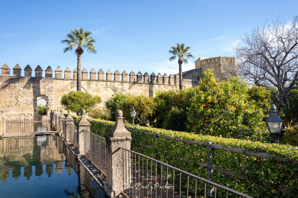 Vue des jardins de l'Alcázar de los Reyes Cristianos avec des palmiers, des orangers, et des reflets dans l'étang à côté du mur de la forteresse.