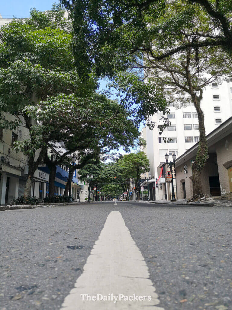 Rue calme du centre de Curitiba bordée d'arbres et d'immeubles de moyenne hauteur, photographiée depuis le niveau de la route