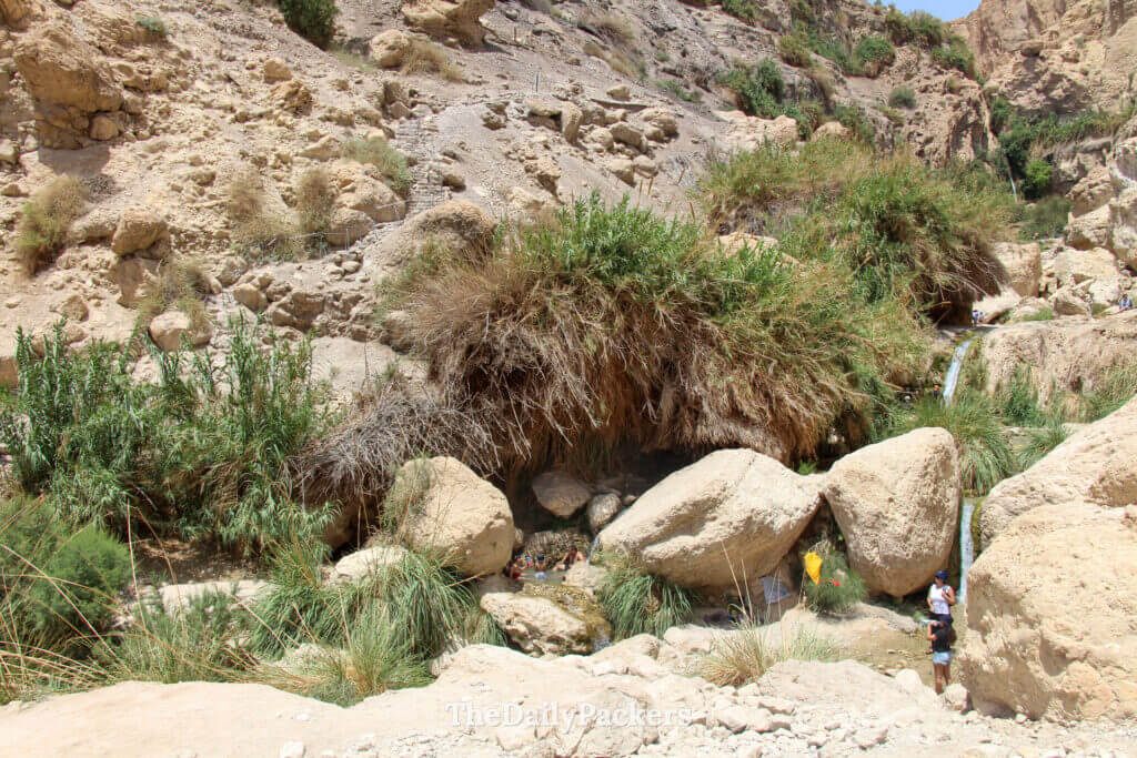 Ein Gedi oasis with freshwater pools, lush greenery, and hikers enjoying the contrast between desert and water