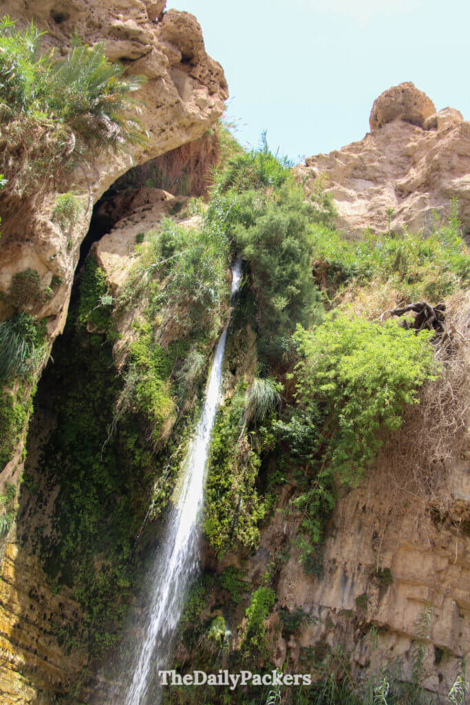 Waterfall flowing through Ein Gedi Nature Reserve in Israel, surrounded by desert cliffs and lush green oasis vegetation