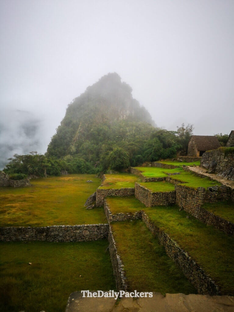 Terrasses agricoles verdoyantes du Machu Picchu descendant vers la forêt tropicale brumeuse, avec le Huayna Picchu dominant à l’arrière-plan.