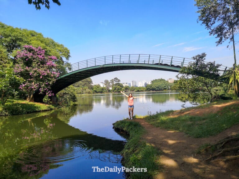 Pedestrian bridge over the lake in Ibirapuera Park, São Paulo, surrounded by trees and greenery with city buildings visible in the background