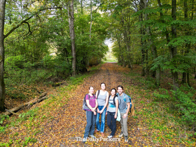 Hikers standing on a forest trail surrounded by fall colors in the Vosges, one of the best places to visit in October
