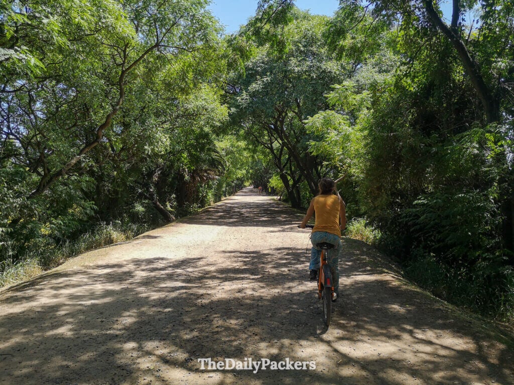 Cycling trail inside Costanera Sur Ecological Reserve, Buenos Aires, surrounded by dense greenery and shaded trees.