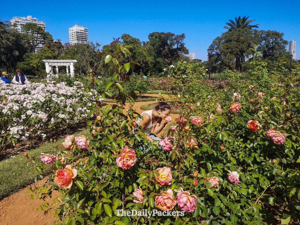 Woman smelling roses at El Rosedal in Palermo, Buenos Aires, surrounded by blooming flowers and city greenery.
