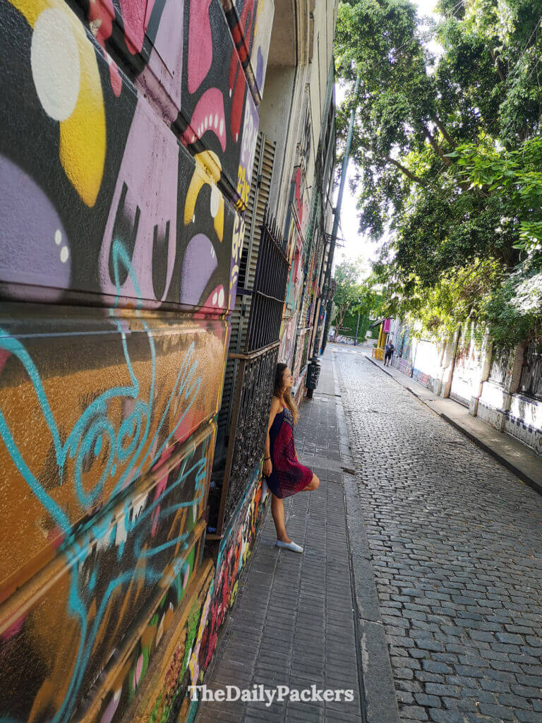 Narrow cobblestone street in Palermo Soho with graffiti-covered walls and trees, capturing the artistic vibe of Plaza Serrano.