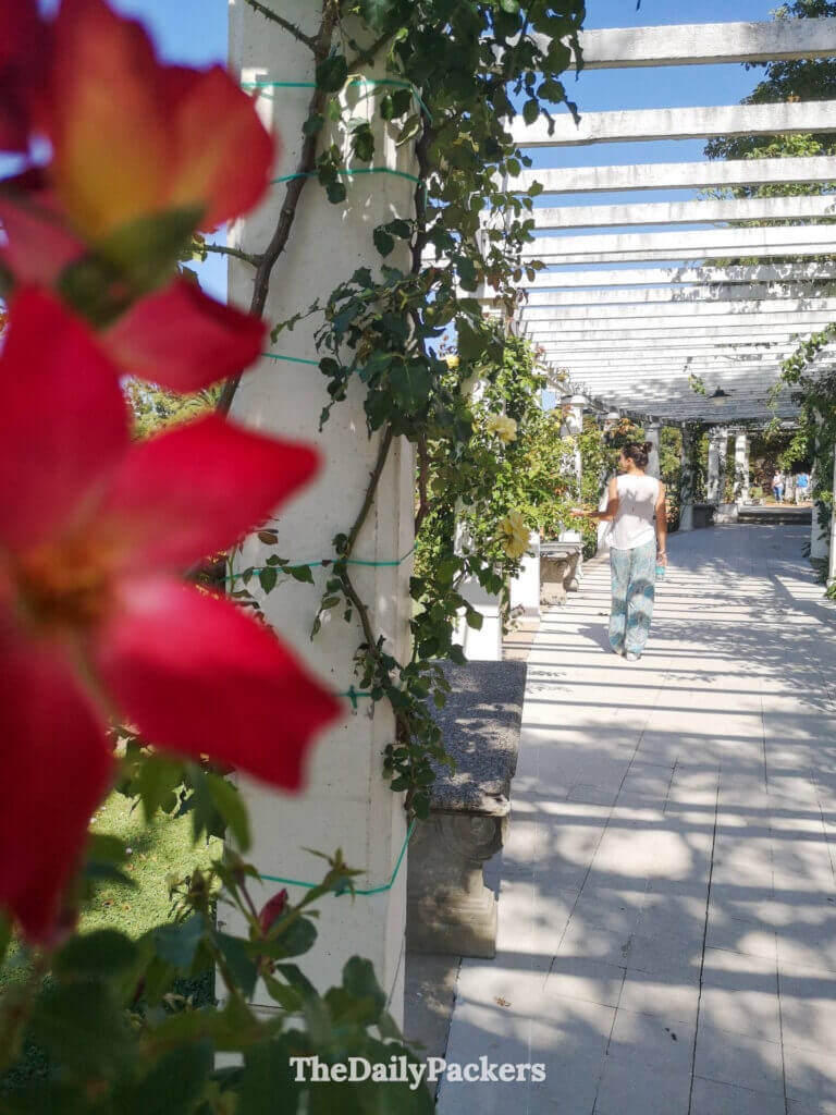 Rose-filled landscape at El Rosedal in Parque Tres de Febrero, with vibrant blooms, lawns, and trees in Palermo.