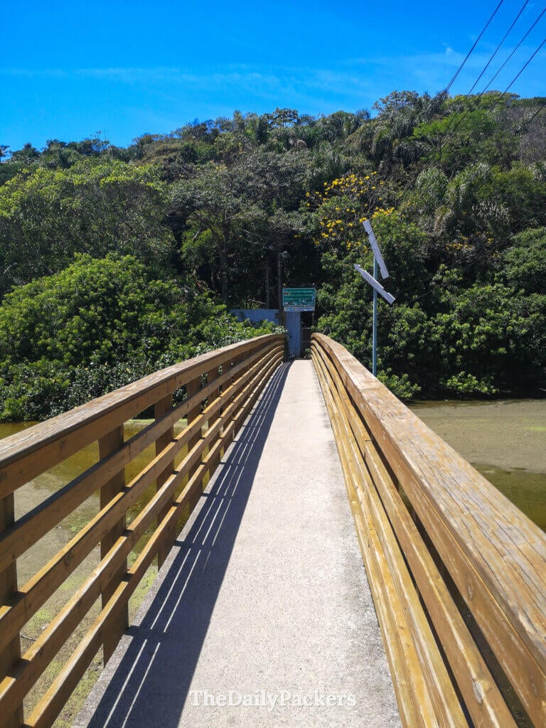 Passerelle en bois traversant des eaux peu profondes sur le chemin de Lagoinha do Leste à Florianópolis, entourée d’une forêt atlantique dense et de sentiers de randonnée