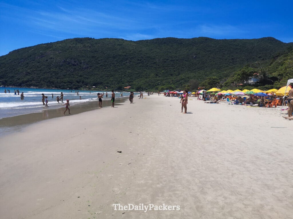 Wide panorama of Matadeiro Beach near Lagoinha do Leste, showing swimmers, soft sand, and green hills surrounding the ba