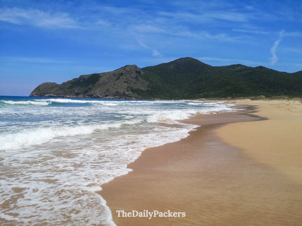 Lagoinha do Leste beach in Florianópolis, featuring rolling waves, wide golden sand, and steep green hills framing the coastline