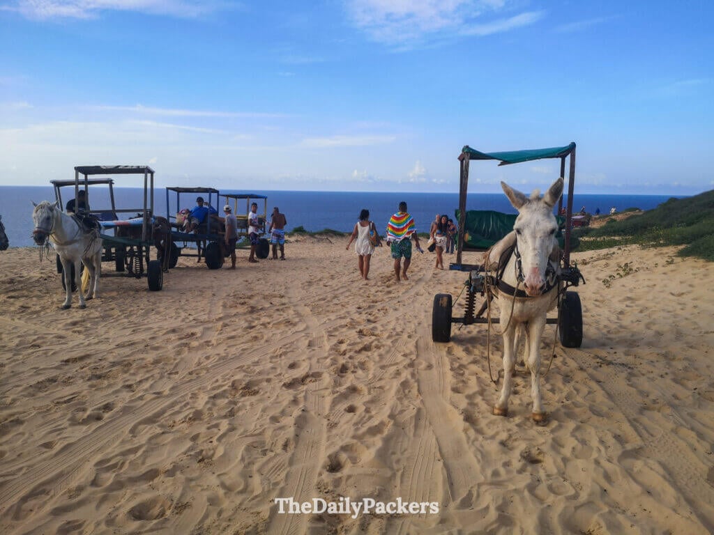 Donkey carts and horse-drawn carriages parked on the sand in Jericoacoara, traditional local transport near the dunes