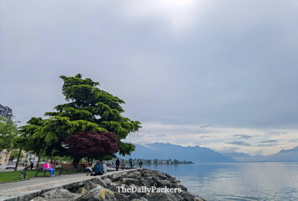 Vevey lakeside promenade with benches, trees and views over Lake Geneva and the Alps