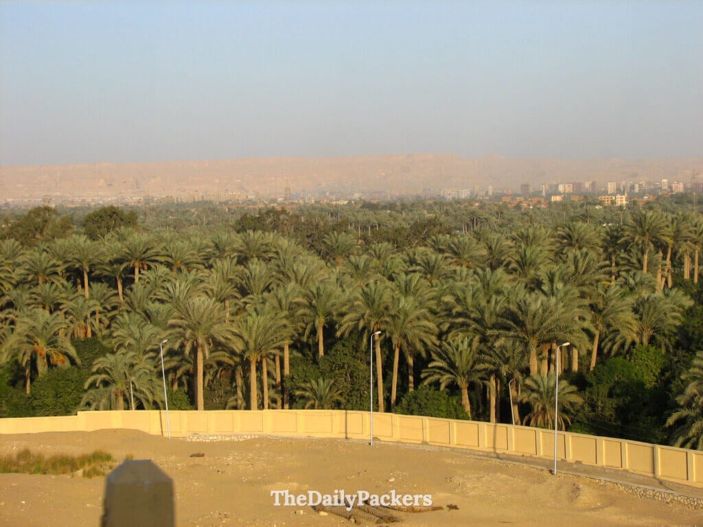 Palm groves along the Nile Valley with desert hills in the distance near Cairo