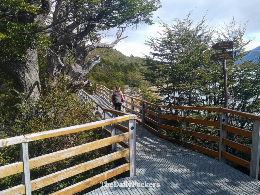 Passerelles en bois surplombant le glacier Perito Moreno en Patagonie