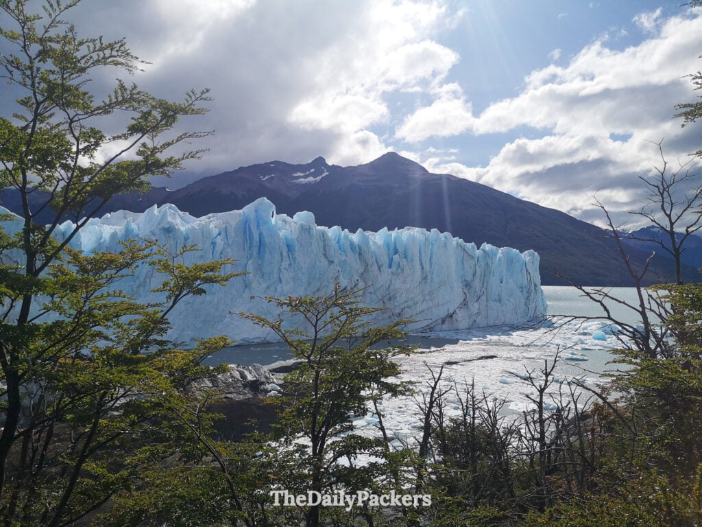 Glacier Perito Moreno encadré par des arbres le long du sentier inférieur