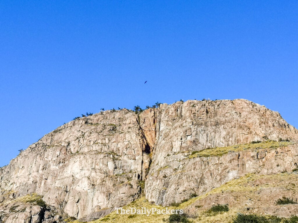 Condor volant au-dessus de falaises rocheuses près de la Laguna Torre en Patagonie