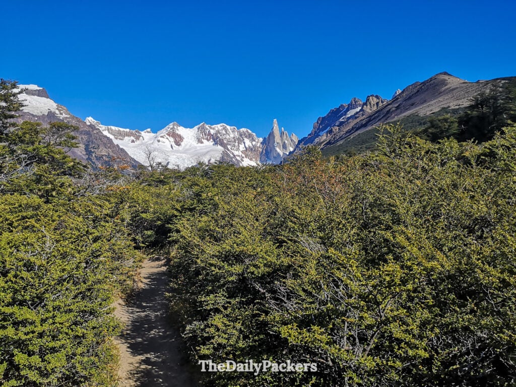 Sentier de la Laguna Torre à travers la forêt patagonienne avec vues sur le Cerro Torre