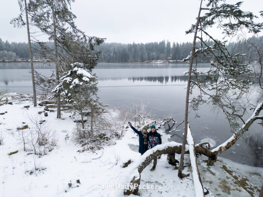 Snowy lake in the Black Forest near Freiburg, winter scenery and pine trees