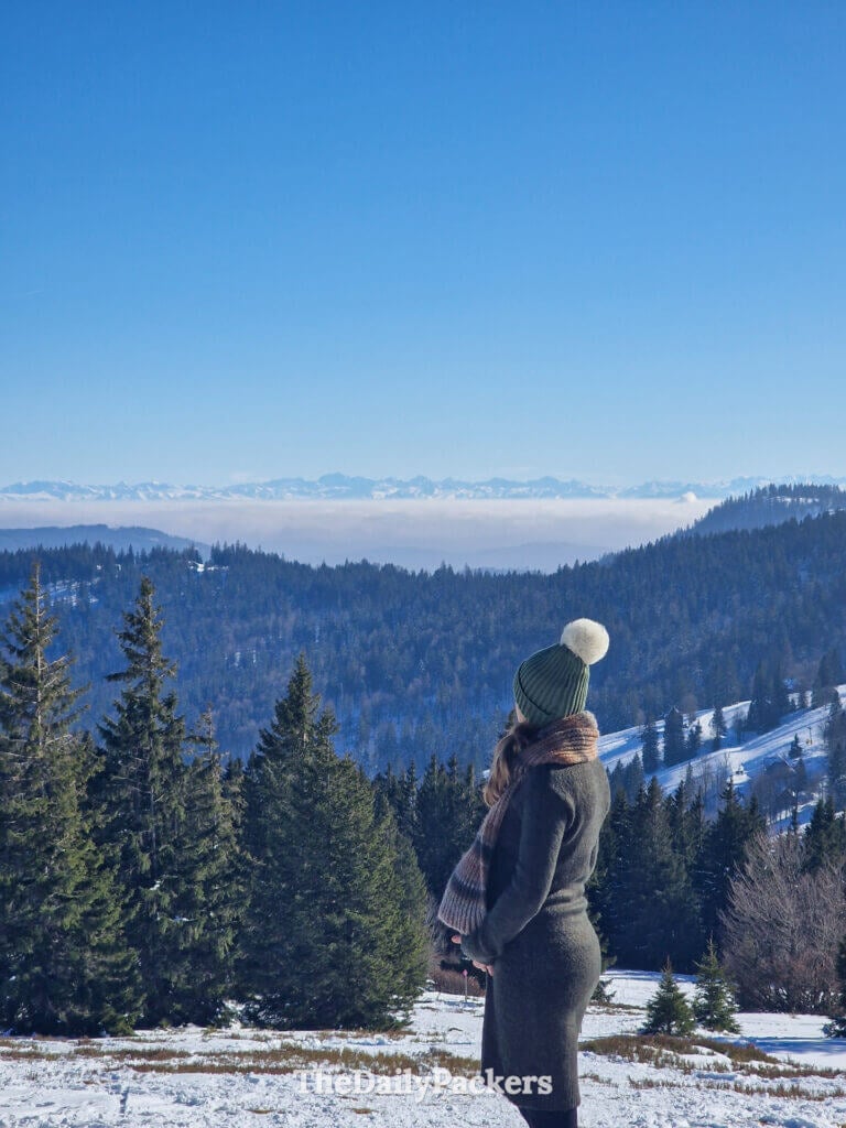 View from the Black Forest near Freiburg, snowy hills and alpine panorama