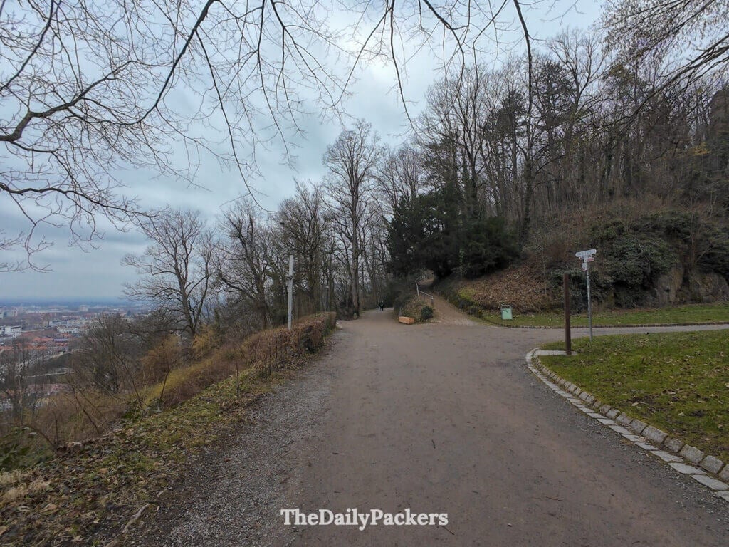 Park path near Kanonenplatz in Freiburg, trees and hillside trail
