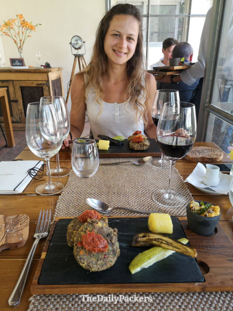 Cadre du déjeuner avec accord mets et vins à l’établissement vinicole Terrazas de los Andes à Mendoza