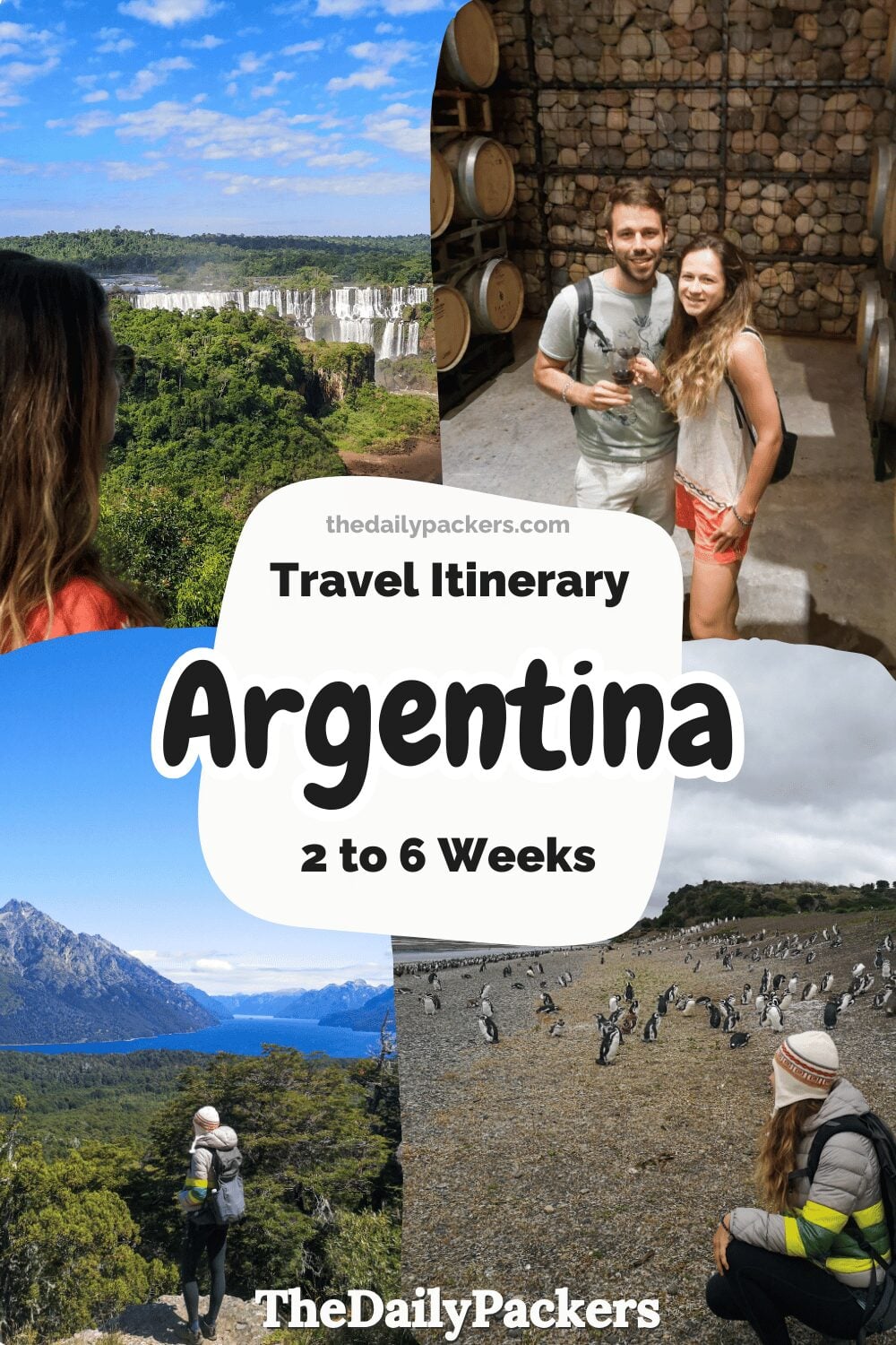 Argentina itinerary collage with Iguazu Falls, Patagonia mountains, Mendoza winery and penguins.