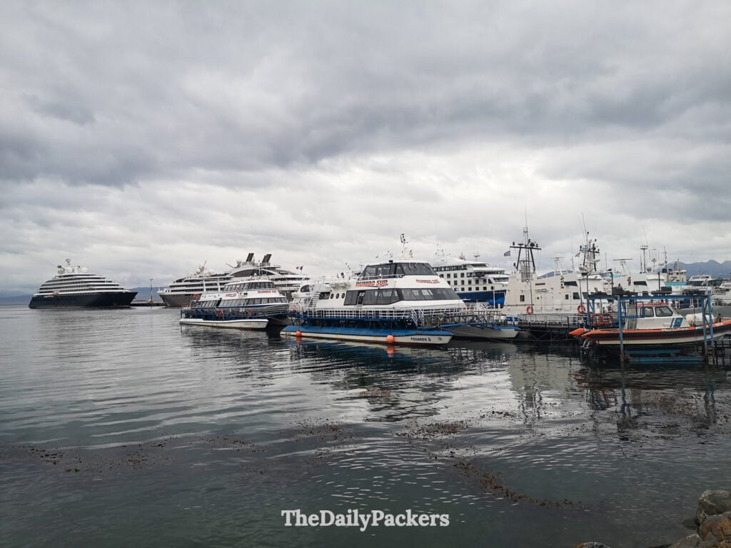 Cruise ships and catamarans docked at Ushuaia port, Beagle Channel