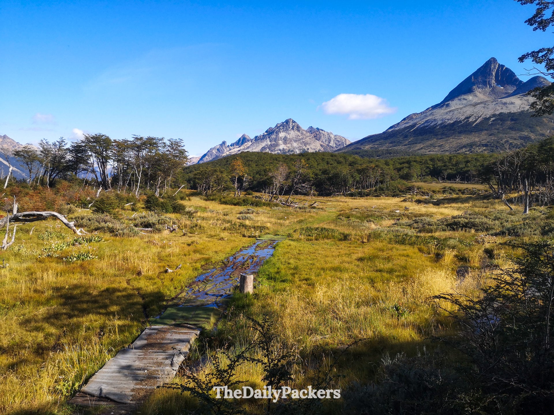 Wooden walkway across wetland on Laguna Esmeralda trail