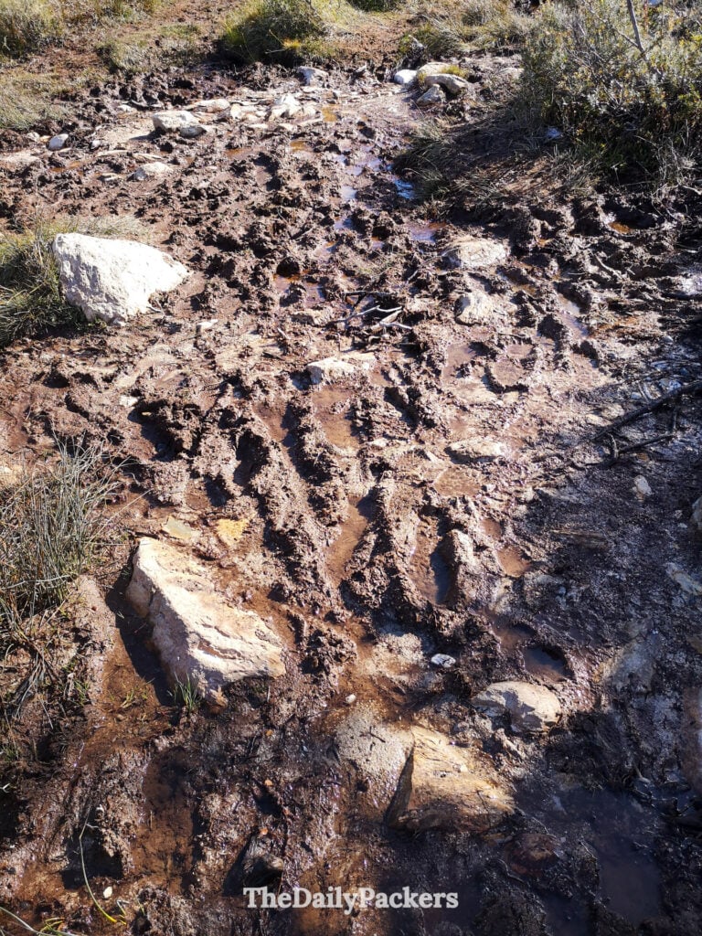 Rocky and muddy section of Laguna Esmeralda trail near Ushuaia