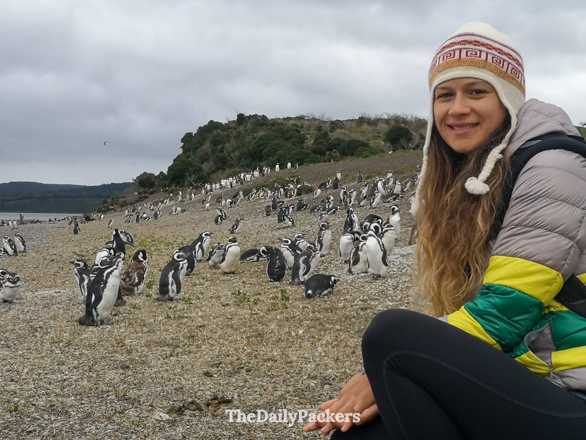 Traveler with penguins on Martillo Island near Ushuaia during a walk with Penguins tour