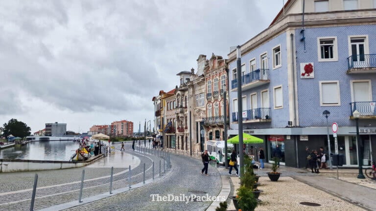 A cobblestone street in Aveiro showcasing beautiful Art Nouveau and tiled building facades.